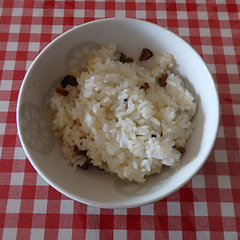 tofu