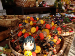 hida001.jpg