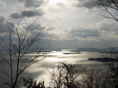 ny01