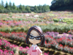 sera dahlia