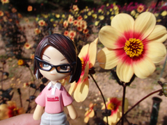 sera dahlia
