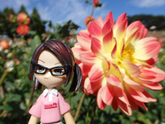 sera dahlia