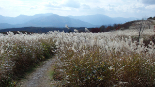 daisen