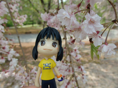 hana