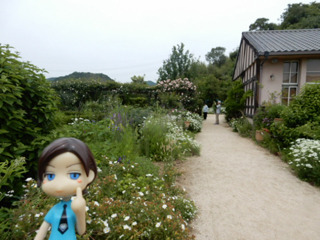 ENGLISH GDN
