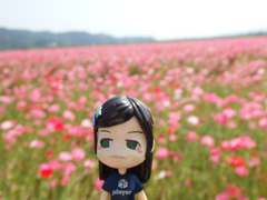 rose