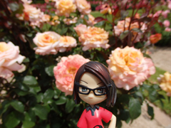 rose