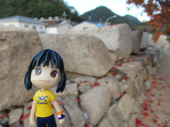 shodo-shima