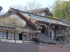 tomo